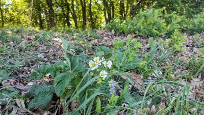 Прикрепленное изображение: IMG_20240510_105951.jpg